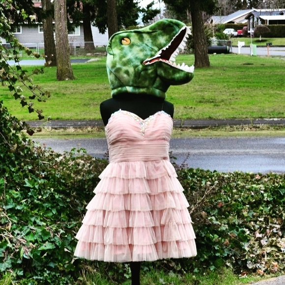 Steppin' Out Dresses & Skirts - Host Pick NWOT Sreppin' Out 16/18 Party Dress